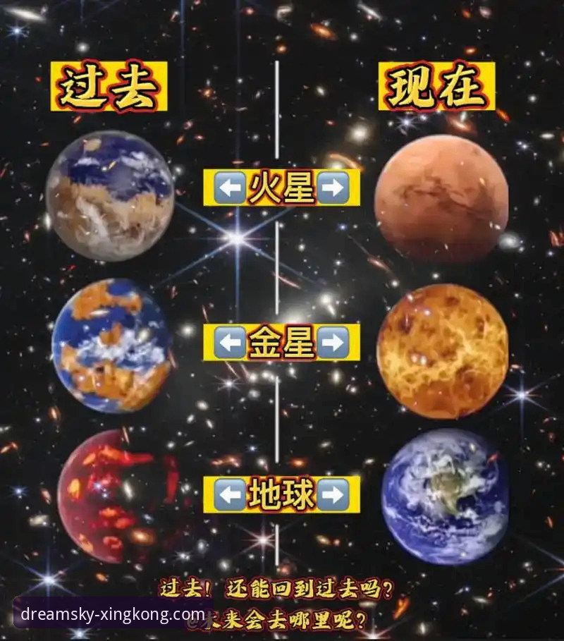 星空APP安装全流程深度分析：从下载到使用的高效指南